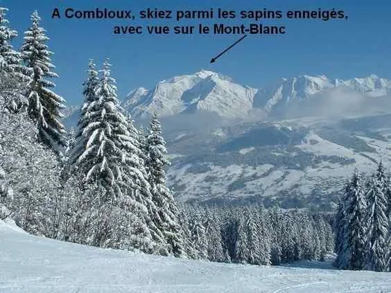 Piste de ski et sapins enneigés